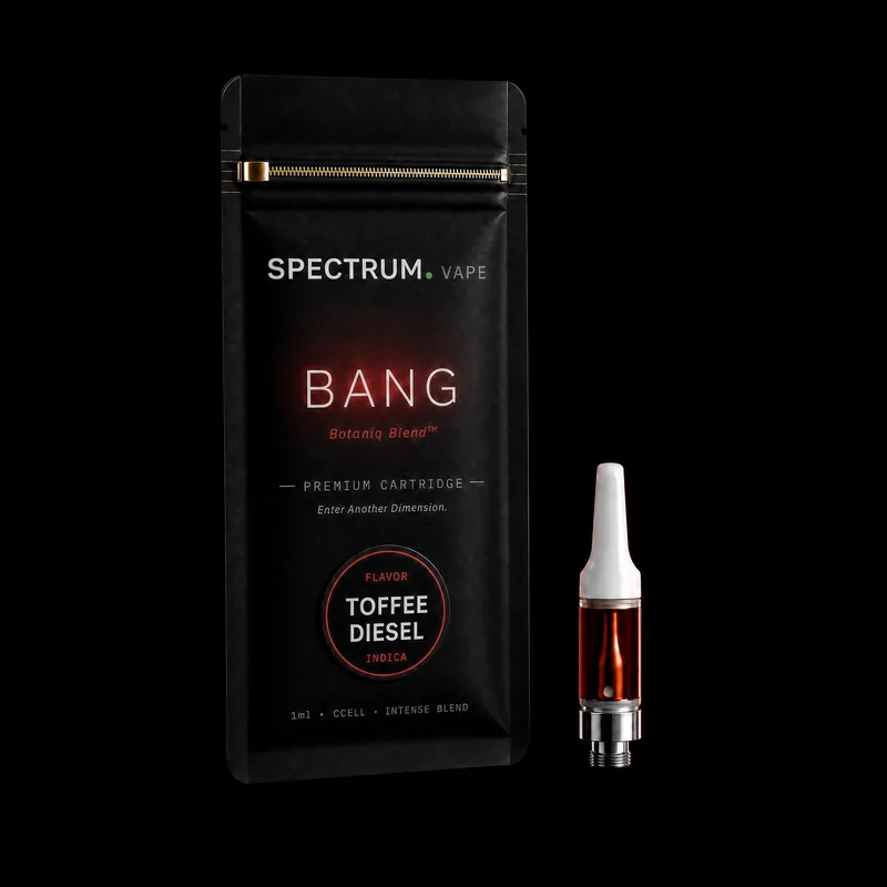 Bang - obrazek 4